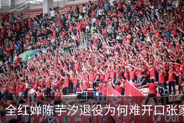 全红婵陈芋汐退役为何难开口张家齐的干脆藏着残酷真相